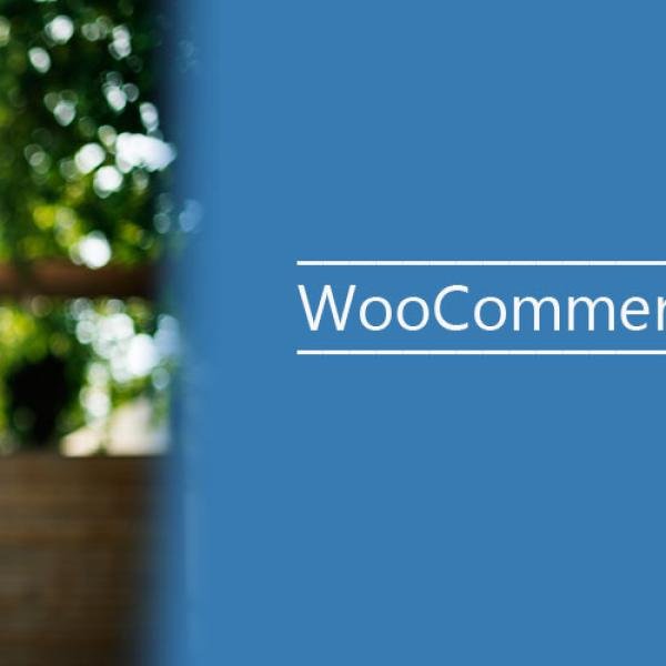 AddySolution – Autocompletar de Endereço para WooCommerce